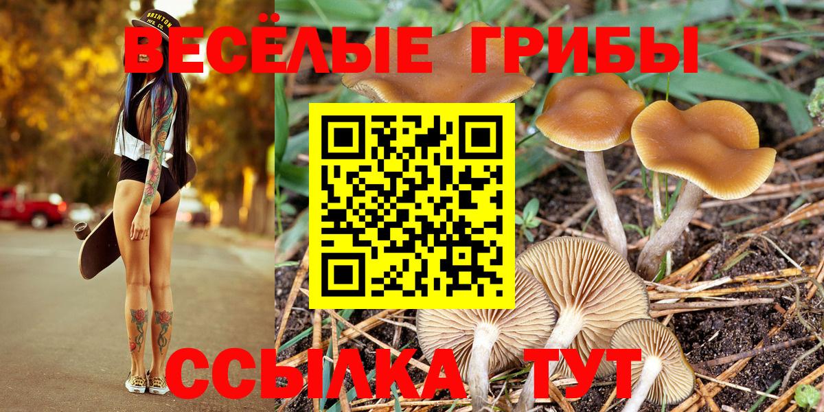 Псилоцибиновые грибы Psilocybine cubensis Орехово-Зуево